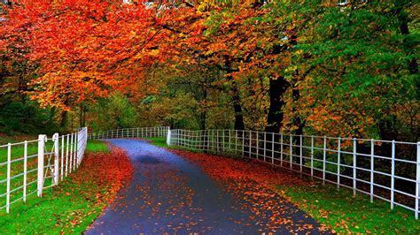 wallpaper pictures|300,000+ Beautiful HD Wallpaper Images .